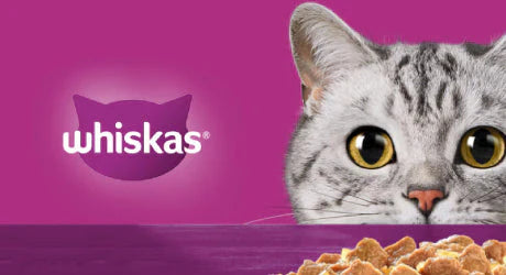 Whiskas